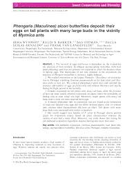 Attēlu rezultāti vaicājumam “Maculinea alcon eggs”