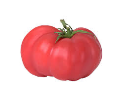 Afbeeldingsresultaat voor brandywine cherry tomato