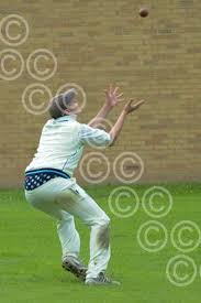 Image result for Luctonians Cricket Club