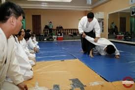 Image result for Aikido - Takama Hara Aikido Dojo