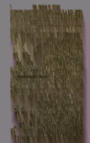 Attēlu rezultāti vaicājumam “Diderma effusum young”