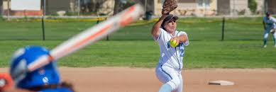 Image result for Sidewinders Baseball Club