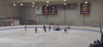 Image result for Arbroath Hurricanes Skater Hockey Club