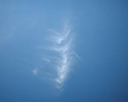 Attēlu rezultāti vaicājumam “Cirrus fibratus”