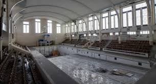 Image result for Bon Accord Thistle Amateur Swimming Club