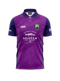 Image result for Brixham Cricket Club