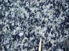 Diorite: Coarse-Grained Intermediate Composition Rock