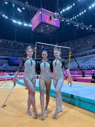 Image result for Lynx Gymnastics Club