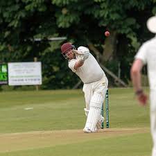 Image result for Woolpit Cricket Club