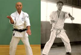 Image result for Independent Wadoryu Karate Federation