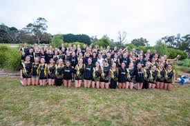 Image result for Storm Junior Netball Club