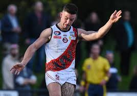 Image result for Eltham Panthers