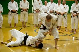 Image result for Oxford University Shorinji Kempo Club