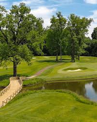 Image result for Cheshire Grass Track Club