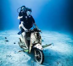 Image result for Scuba Fun
