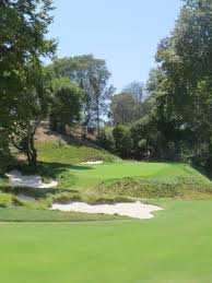 Image result for The Alt Golf Club