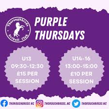 Image result for Thoroughbreds Netball Clubs