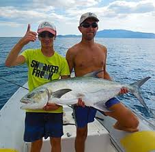 Image result for Lichia amia