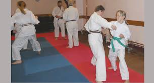 Image result for Broadwell Karate Club