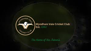 Image result for Wandham Cricket Club