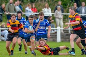 Image result for Furness Rugby Union Football Club Ltd