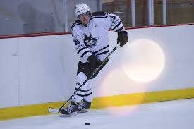 Image result for Streatham Night Wolves Ice Hockey Team