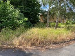 Image result for Woodmancote SMBC