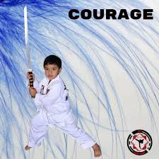 Image result for ATA Martial Arts Maple Ridge