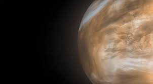 Image result for venus