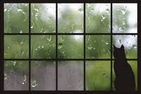 pioggia alla finestra