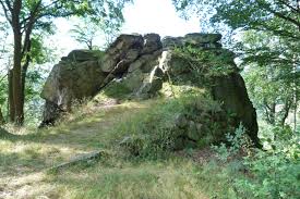 Image result for cesarskie