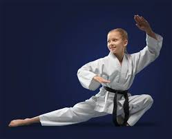 Image result for Action Karate