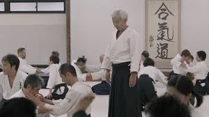 Image result for Budo Warrior Schools