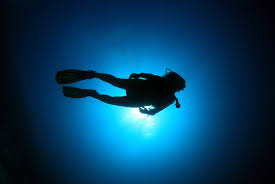 Image result for Robin Hood Dive School