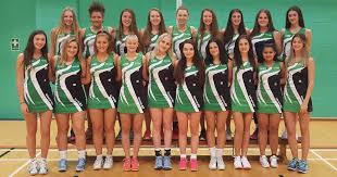 Image result for Valhalla Netball Club