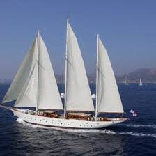 Image result for Xarifa