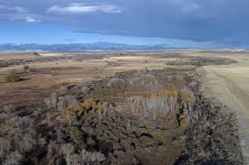 Image result for Glenrothes Grizzlies