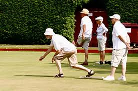 Image result for Hadlow Cricket Club