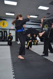 Image result for Dragons Junior Badminton Club