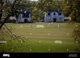 Image result for Saltaire Cricket Club