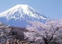 fuji