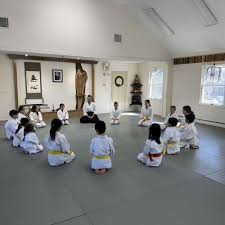 Image result for Martial Arts New Jersey