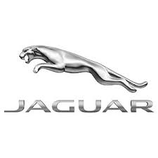 Image result for White Onyx 2002 Jaguar