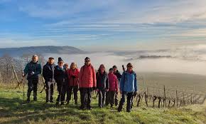 Image result for Ramblers Association - Mole Valley Group