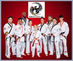 Image result for ATA Martial Arts Maple Ridge
