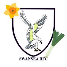 Image result for Swansea Rfc