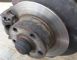 Картинки по запросу белку зажевало в диск