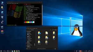 Image result for linux