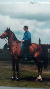 Image result for Old Park Riding Stables