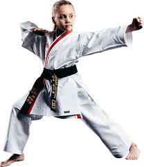 Image result for Dallo Martial Arts